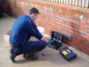 rágcsálóirtás, darázsirtás és csótányirtás budapest és környéke